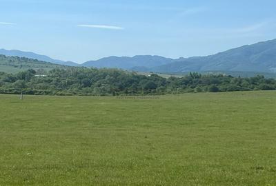 Teren intravilan 646 mp Calea Cisnădiei – Str. Zorilor- deschidere la 2 drumuri - 8
