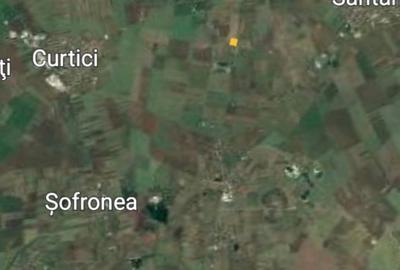 Teren 1 ha intravilan-deschidere 100 ml la DN Simand-Arad, PUZ Motel - 10