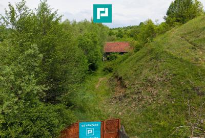 Proprietate de poveste pe Valea Mureșului, Lupești - 5