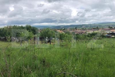 Teren Construcții intravilan de 10656 mp, în Nord