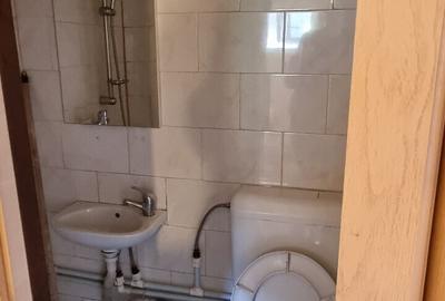Tei Boboc Garsoniera la casa - 5