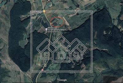 Teren agricol extravilan de 5000 mp, în Șura Mare