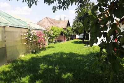 Potențial imobiliar! casa curte, front 15 m, teren 11000 mp - 6