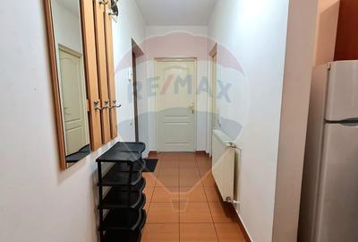 Liniste si lumina! Inchiriez apartament cu 1 camera, Parcare, Someseni - 8