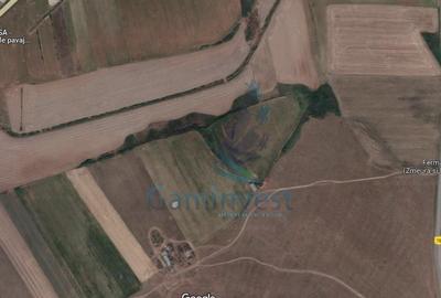 De vanzare teren extravilan 69150 MP in Nojorid, Bihor - 2