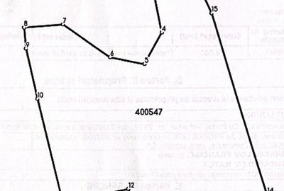 Comision 0% Teren de vanzare 6000 mp cu iesire la Lac Surduc - 4