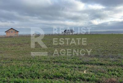 Teren 10.000 mp: 5.000 mp intravilan + 5.000 mp extravilan – Horlești - 1