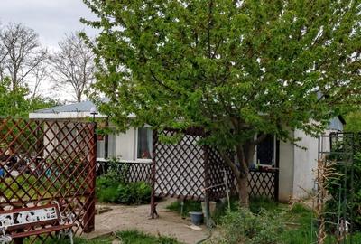 Casa Modernă + Casă de Oaspeți în Chișcani/ teren 1314 mp/panouri fotovoltaice - 3