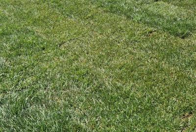 Duplex de lux de vanzare - 10