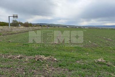 Teren extravilan | Horodnic de Sus – zona Osoi | 50 de Ari - 6