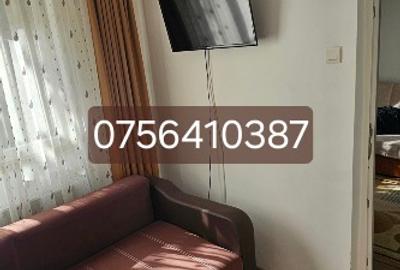 Apartament 2 camere Tomis Nord-Brotacei - 2