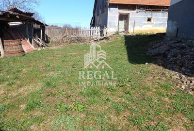 Două case de vânzare – Cerisor – teren generos 6996 mp - 10