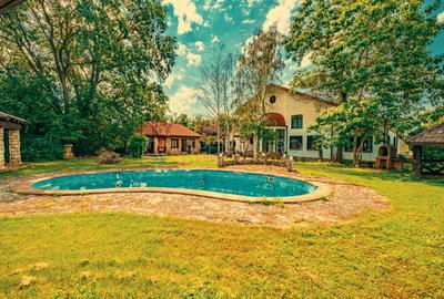 Casa superba cu vedere la lac in Izvorani – piscina, natura,si potential imens! - 16