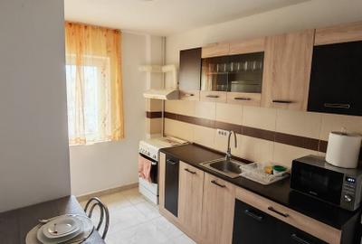 Apartament 2 camere  Micalaca  Orizont - 3