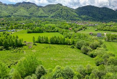 Teren intravilan 500 mp sau 1000 mp în Bran –Tohanita incepand cu 17500 euro - 2