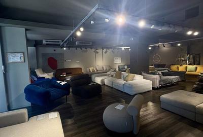 Spatiu Comercial | Floreasca | 175 mp | Vitrina 11 mp - 2