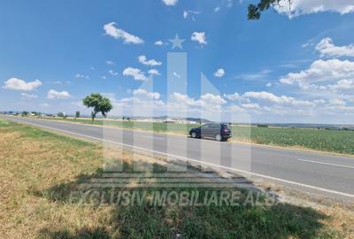 Teren agricol | La sosea | 9100 mp | 40 ml deschidere - 6