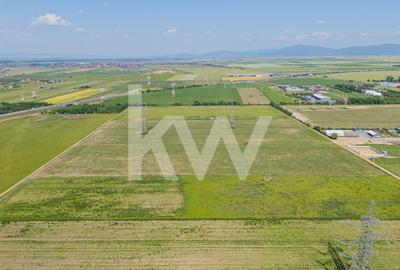 Teren Intravilan I Brasov, Zona Triaj - 25 Euro/ mp - 19