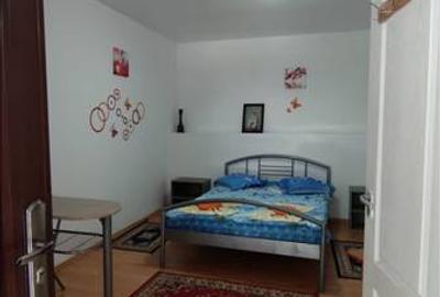 Pensiune in Sasca Montana - 10