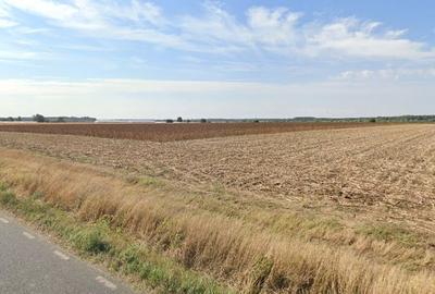 Cel mai bun pret! 1.5 ha, lot teren localitatea Nuci, Ilfov - 1