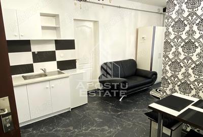 Apartament o camera tip studio de inchiriat,zona Brancoveanu Timisoara - 4