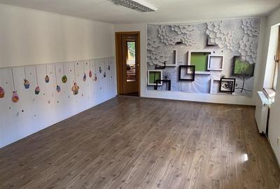 Vilă Spațioasă D+P+1 zona Terezian optima locuinta / sediu firma - 14