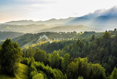 Pensiune de vanzare zona Bran-Moeciu