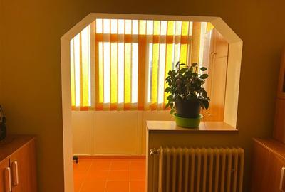 Apartament decomandat 3 camere etaj intermediar Vasile Aaron - 4