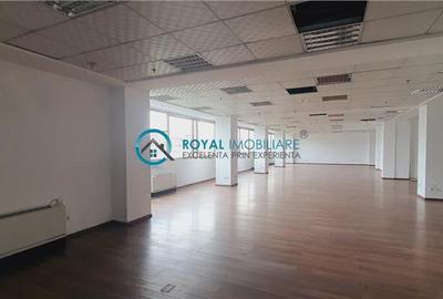 Royal Imobiliare - inchirieri spatii birouri, zona Vest - 9