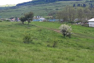 Teren de vanzare in Valcele - 6