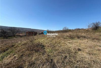 Loturi teren intravilan,sat Goruni - com.Tomesti,de vanzare. - 5