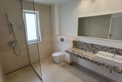 Vilă in zona Iancu Nicolae - 16