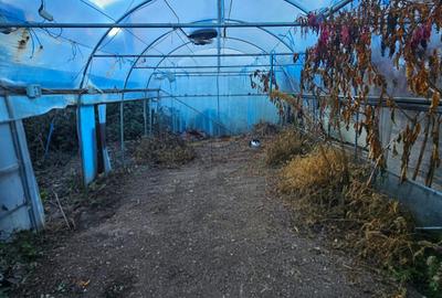 Casă cu arhitectură interbelică, 5 camere, teren 409 mp – Central - 56