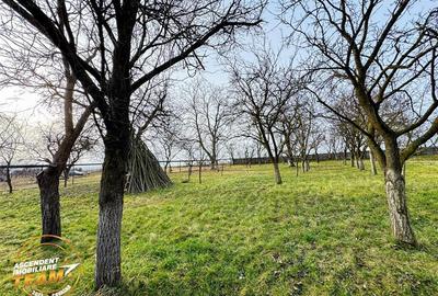 FILM! 5.000mp teren intravilan cu casuta rustica, Dalnic, Covasna - 3