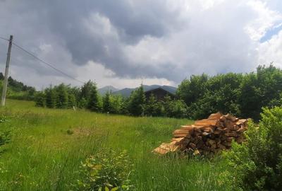 Casa de vacanta superba cu lac Rasnov-Glejerie - 11