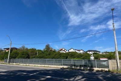 Teren in Hunedoara, zona Pestisu Mare la 12 km de Deva*800 mp! - 4