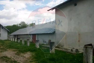 Teren intravilan si construcții în comuna Dragodana, sat Burduca. - 3