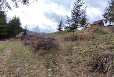 Teren intravilan in Izvoru Muresului (str. Principala) - 2