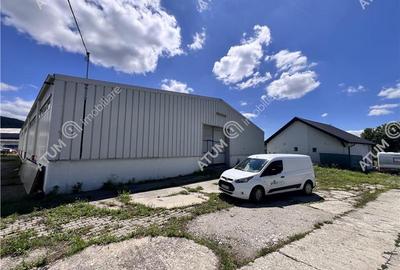 Hala de 918 mp utili si teren de 2400 mp cu acces de tir in Talmaciu - 3