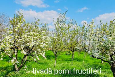 Casă și teren intravilan pentru investiții - 1