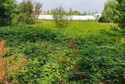 PARADISUL VERDE- teren in suprafata de 1 326 mp,. utilitati - 2