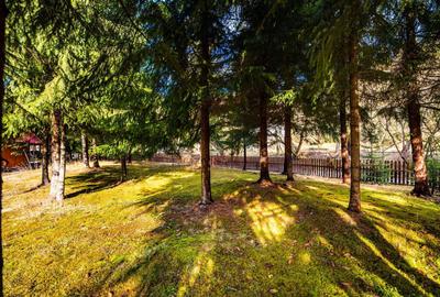 Cabane cu 10 camere Arieseni - 13