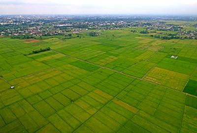 Teren Construcții intravilan de 1400 mp, în Popești