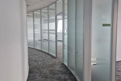 Cascade Offices – Birouri de inchiriat Piata Victoriei, Buzesti - 3