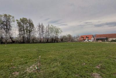 Teren intravilan 2.000 mp de vânzare – Cârnești, Țara Hațegului | vedere Retezat - 3