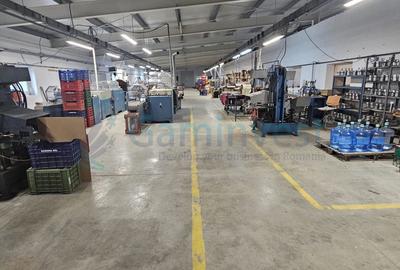 Hala industriala modernizată 2200 mp de vanzare in Pecica, Arad - 10