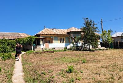 Casa locuibila , curte de 2500 mp - 1
