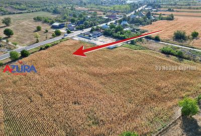 AZURA Imobiliare - Teren la DN7 langa Gaesti, Crangurile - Badulesti - 11