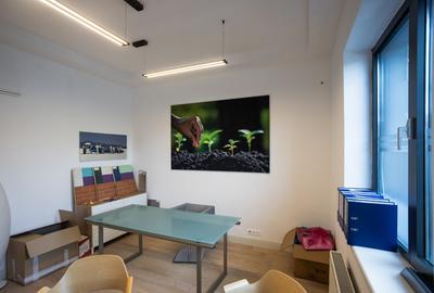 DOMENII-SPATII GENEROASE-DISPONIBIL IMEDIAT - 5