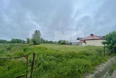 Teren Intravilan 11 Ari | Rădăuți | Deschidere 24 M | Utilități - 4